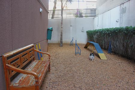 Apartamento para alugar com 42m², 1 quarto e sem vagaPetPlace