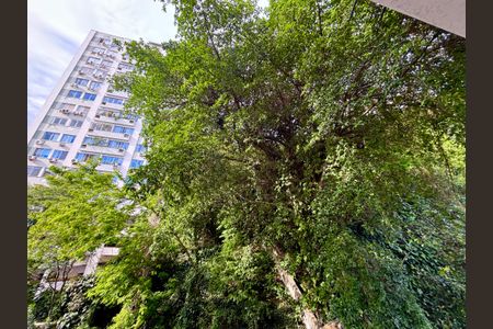 Sala - vista de apartamento para alugar com 2 quartos, 83m² em Ipanema, Rio de Janeiro