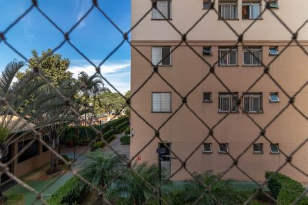 Quarto 1 - Vista de apartamento para alugar com 2 quartos, 50m² em Vila Roque, São Paulo