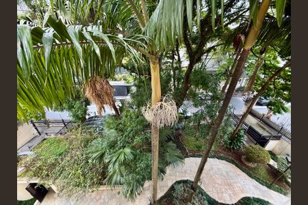 Apartamento para alugar com 200m², 3 quartos e 3 vagasVista