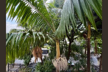 Apartamento para alugar com 200m², 3 quartos e 3 vagasVista