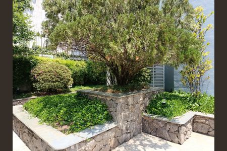 Apartamento para alugar com 78m², 3 quartos e 1 vagaJardim