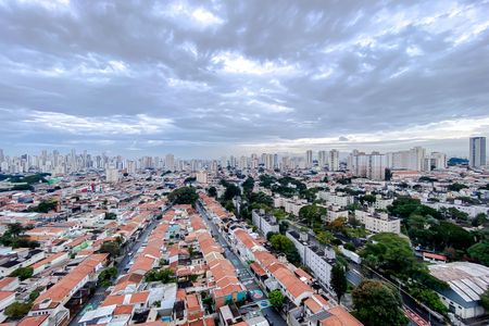 Vista da Suíte de apartamento para alugar com 3 quartos, 75m² em Água Rasa, São Paulo