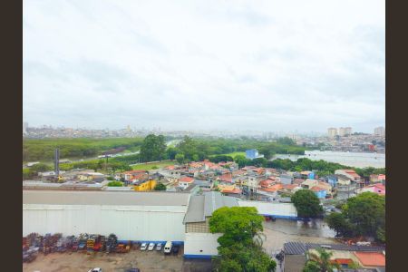 Vista da Sala de apartamento para alugar com 2 quartos, 50m² em Vila Venditti, Guarulhos