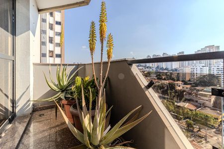 Apartamento à venda com 195m², 3 quartos e 3 vagas Apartamento à venda com 195m², 3 quartos e 3 vagasVaranda