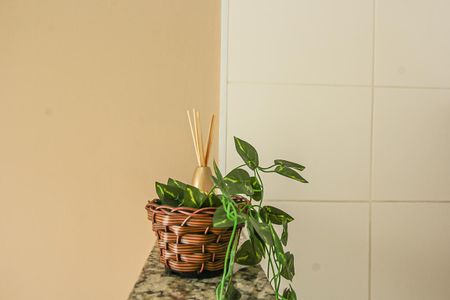 Sala/Cozinha de apartamento para alugar com 1 quarto, 31m² em Vila Palmeiras, São Paulo