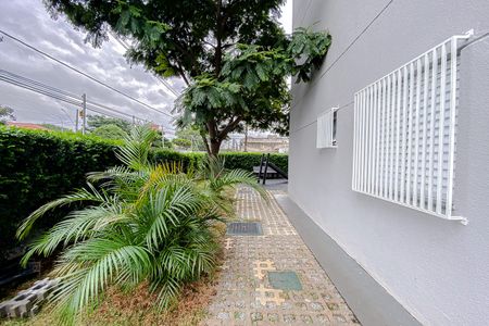 Apartamento para alugar com 34m², 1 quarto e sem vagaJardim