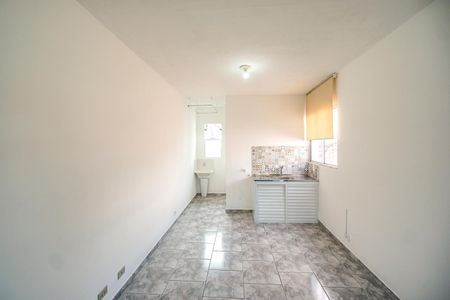 Cozinha de kitnet/studio para alugar com 1 quarto, 34m² em Cidade Mãe do Céu, São Paulo