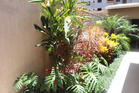 Casa à venda com 155m², 3 quartos e 3 vagasÁrea comum - Quintal