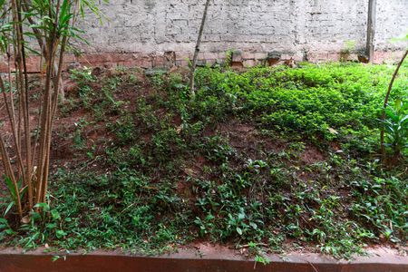 Vista da sala de apartamento para alugar com 1 quarto, 55m² em Lauzane Paulista, São Paulo