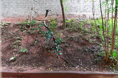 Vista do quarto de apartamento para alugar com 1 quarto, 55m² em Lauzane Paulista, São Paulo