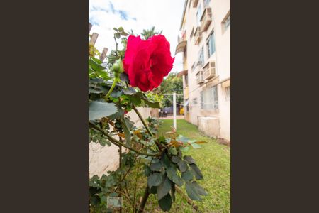 Apartamento à venda com 42m², 1 quarto e sem vagaÁrea comum