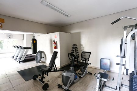 Apartamento para alugar com 70m², 3 quartos e 1 vaga Apartamento para alugar com 70m², 3 quartos e 1 vagaÁrea comum - Academia