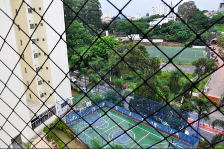 Vista da Varanda da Sala de apartamento para alugar com 3 quartos, 74m² em Vila Amélia, São Paulo