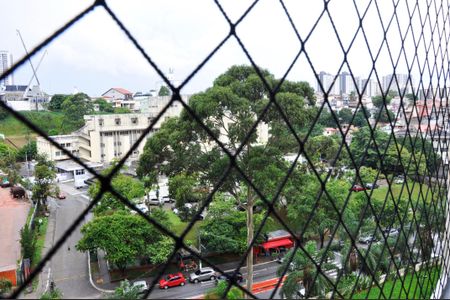 Vista da Varanda da Sala de apartamento para alugar com 3 quartos, 74m² em Vila Amélia, São Paulo