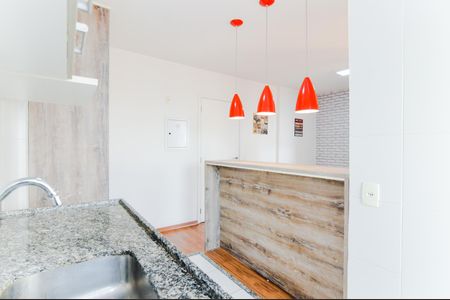 Cozinha de apartamento para alugar com 1 quarto, 30m² em Vila Gopouva, Guarulhos