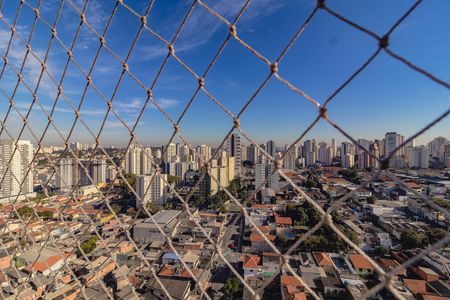 Apartamento para alugar com 2 quartos, 39m² em Vila Santa Catarina, São Paulo