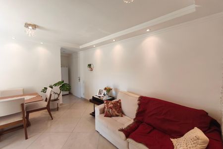 Sala de apartamento para alugar com 2 quartos, 57m² em Residencial Parque da Fazenda, Campinas