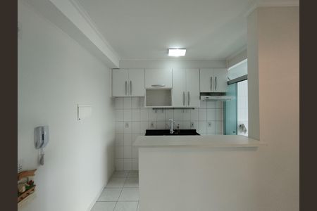Cozinha - Torneira de apartamento para alugar com 2 quartos, 50m² em São João Clímaco, São Paulo