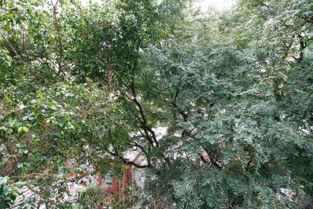 Apartamento à venda com 103m², 2 quartos e 1 vagaVista da Suíte 1