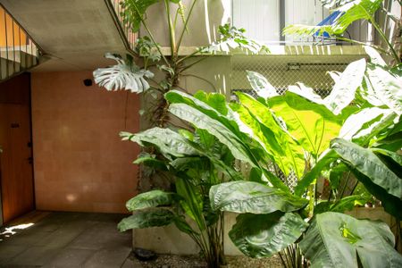 Apartamento para alugar com 50m², 1 quarto e sem vagaÁrea comum