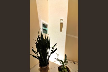 Casa para alugar com 237m², 3 quartos e 5 vagasJardim de Inverno 