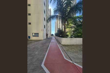 Apartamento para alugar com 78m², 2 quartos e 2 vagas Apartamento para alugar com 78m², 2 quartos e 2 vagasPista de cooper