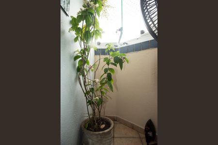 Apartamento à venda com 73m², 3 quartos e 1 vagaVaranda da Suíte