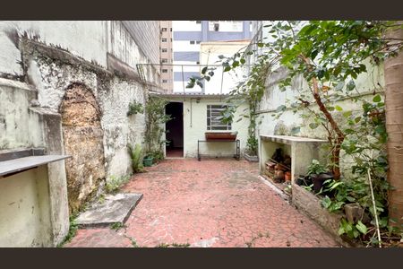 Casa para alugar com 90m², 2 quartos e sem vagaQuintal