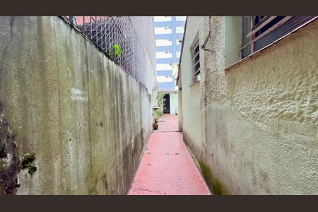 Casa para alugar com 90m², 2 quartos e sem vagaQuintal