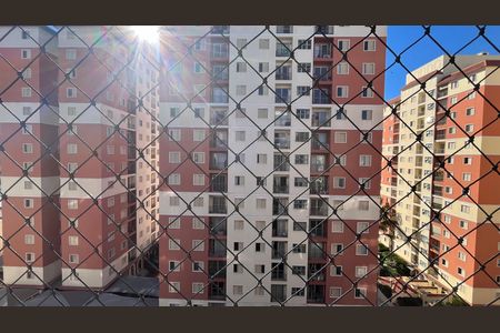 Apartamento à venda com 3 quartos, 135m² em Jardim Guanabara, Campinas