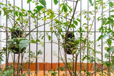 Casa à venda com 134m², 3 quartos e 2 vagas Casa à venda com 134m², 3 quartos e 2 vagasSala