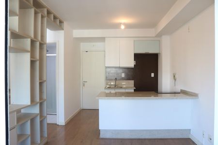Sala de kitnet/studio para alugar com 1 quarto, 47m² em Parque Industrial Tomas Edson, São Paulo