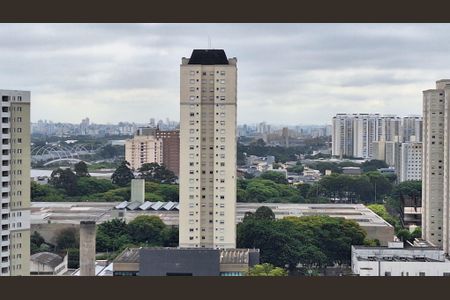 Vista de apartamento à venda com 1 quarto, 48m² em Várzea da Barra Funda, São Paulo