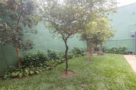 Casa para alugar com 350m², 6 quartos e 4 vagas Casa para alugar com 350m², 6 quartos e 4 vagasÁrea externa