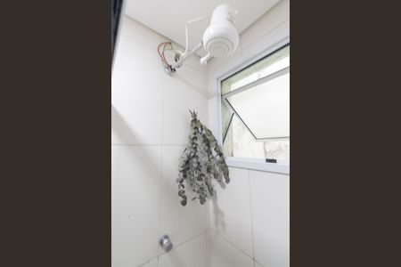 Banheiro de apartamento para alugar com 2 quartos, 56m² em Tremembé, São Paulo