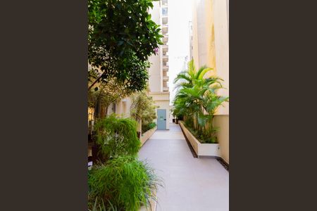 Apartamento para alugar com 35m², 1 quarto e sem vagaJardim