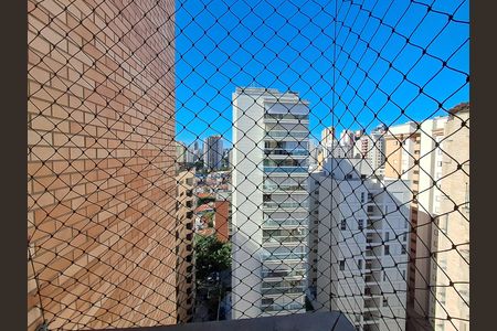 Apartamento para alugar com 246m², 3 quartos e 3 vagasVista