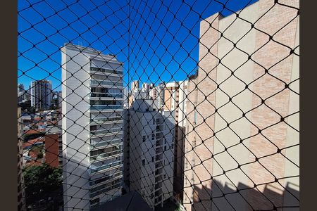 Vista de apartamento para alugar com 3 quartos, 246m² em Perdizes, São Paulo