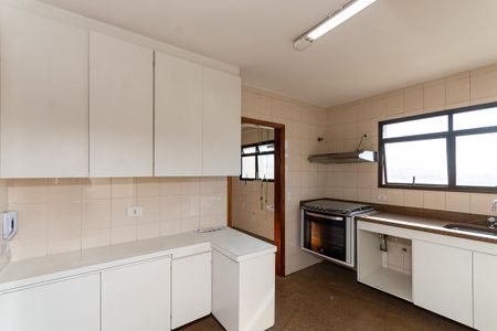 Apartamento para alugar com 246m², 3 quartos e 3 vagasCozinha