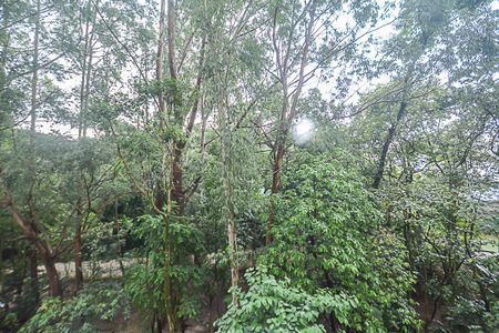 Apartamento à venda com 48m², 2 quartos e 1 vagaVista do Quarto 2