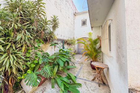 Casa para alugar com 350m², 3 quartos e 4 vagasQuintal