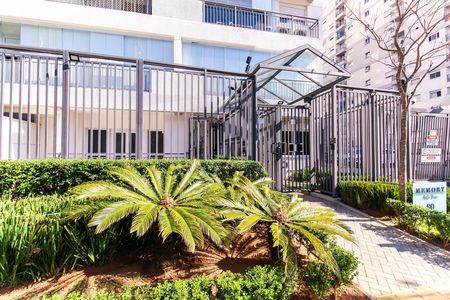 Fachada de apartamento para alugar com 2 quartos, 39m² em Vila Invernada, São Paulo