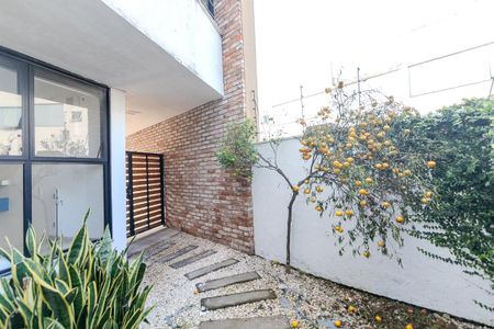 Casa de condomínio à venda com 245m², 3 quartos e 2 vagas Casa de condomínio à venda com 245m², 3 quartos e 2 vagasQuintal