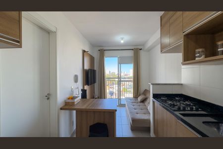 Sala e Cozinha de apartamento para alugar com 1 quarto, 29m² em Jardim Caravelas, São Paulo
