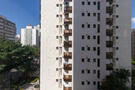 Vista da Varanda da Sala de apartamento para alugar com 2 quartos, 76m² em Moema, São Paulo
