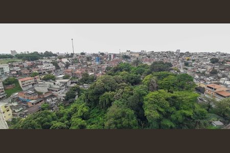 Apartamento para alugar com 48m², 2 quartos e 1 vagaVista da Área de Serviço