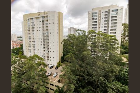 Vista da Varanda de apartamento para alugar com 2 quartos, 50m² em Parque Reboucas, São Paulo