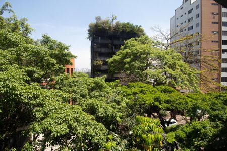 Studio para alugar com 25m², 1 quarto e sem vagaVista da Varanda