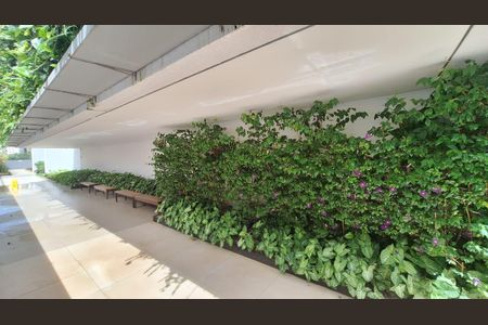 Apartamento para alugar com 70m², 2 quartos e 1 vaga Apartamento para alugar com 70m², 2 quartos e 1 vagaÁrea comum